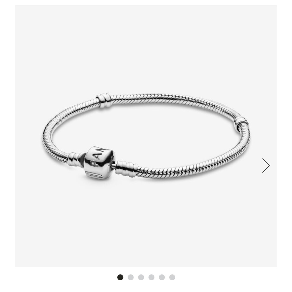 Pandora Moments Snake Charm Bracelet